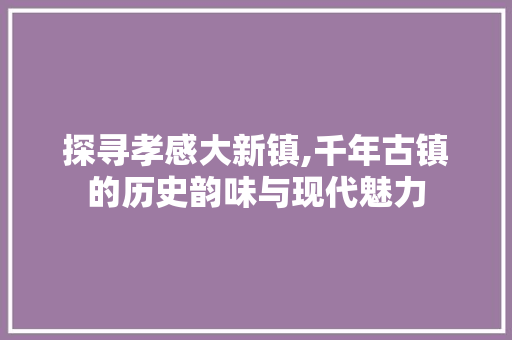 探寻孝感大新镇,千年古镇的历史韵味与现代魅力