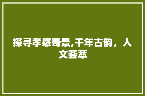 探寻孝感奇景,千年古韵，人文荟萃