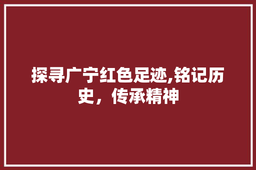 探寻广宁红色足迹,铭记历史，传承精神