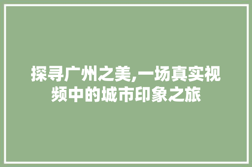 探寻广州之美,一场真实视频中的城市印象之旅