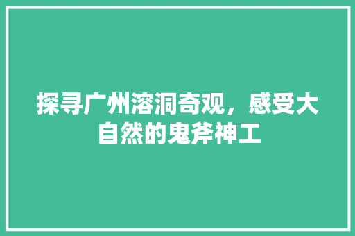 探寻广州溶洞奇观，感受大自然的鬼斧神工