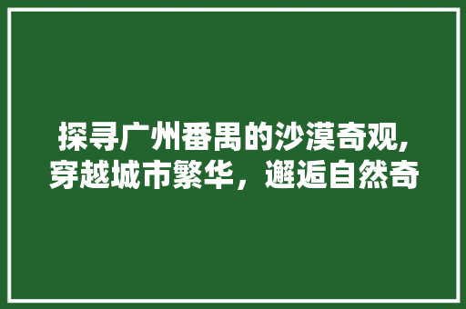 探寻广州番禺的沙漠奇观,穿越城市繁华，邂逅自然奇景