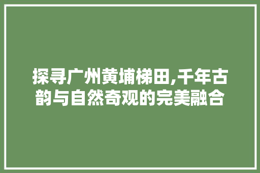 探寻广州黄埔梯田,千年古韵与自然奇观的完美融合