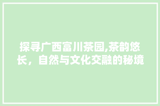 探寻广西富川茶园,茶韵悠长，自然与文化交融的秘境之旅