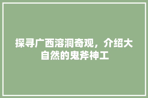 探寻广西溶洞奇观，介绍大自然的鬼斧神工