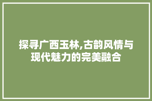 探寻广西玉林,古韵风情与现代魅力的完美融合