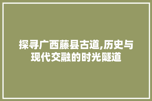 探寻广西藤县古道,历史与现代交融的时光隧道