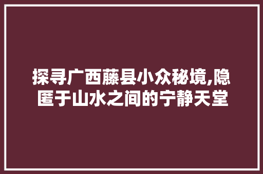 探寻广西藤县小众秘境,隐匿于山水之间的宁静天堂