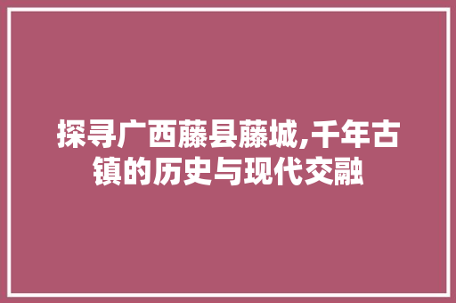 探寻广西藤县藤城,千年古镇的历史与现代交融