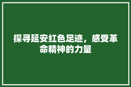 探寻延安红色足迹，感受革命精神的力量