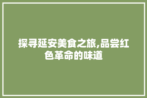 探寻延安美食之旅,品尝红色革命的味道