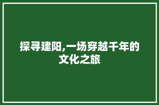 探寻建阳,一场穿越千年的文化之旅