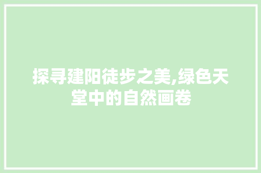 探寻建阳徒步之美,绿色天堂中的自然画卷