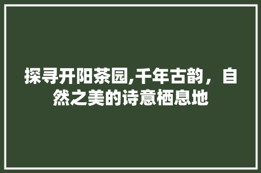 探寻开阳茶园,千年古韵，自然之美的诗意栖息地