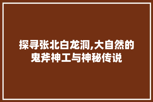 探寻张北白龙洞,大自然的鬼斧神工与神秘传说