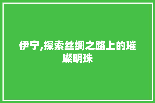 伊宁,探索丝绸之路上的璀璨明珠  第1张