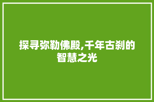 探寻弥勒佛殿,千年古刹的智慧之光