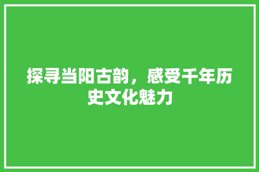 探寻当阳古韵，感受千年历史文化魅力