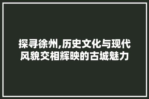 探寻徐州,历史文化与现代风貌交相辉映的古城魅力