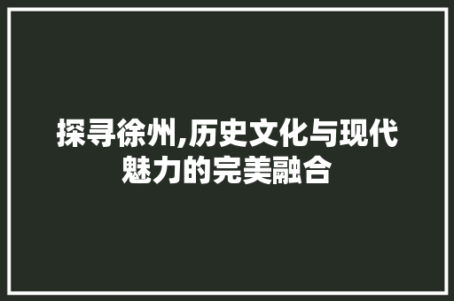 探寻徐州,历史文化与现代魅力的完美融合