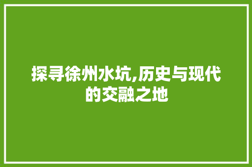 探寻徐州水坑,历史与现代的交融之地