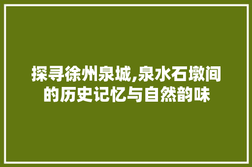 探寻徐州泉城,泉水石墩间的历史记忆与自然韵味  第1张