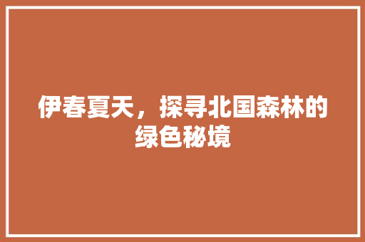 伊春夏天，探寻北国森林的绿色秘境