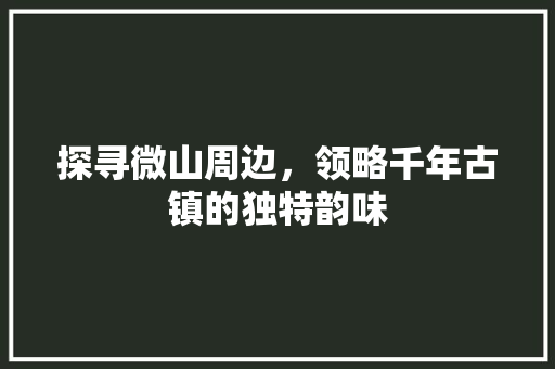 探寻微山周边，领略千年古镇的独特韵味