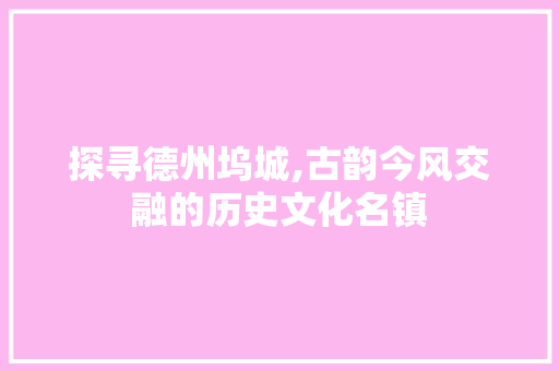 探寻德州坞城,古韵今风交融的历史文化名镇