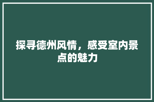 探寻德州风情，感受室内景点的魅力