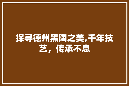 探寻德州黑陶之美,千年技艺，传承不息