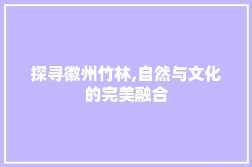 探寻徽州竹林,自然与文化的完美融合