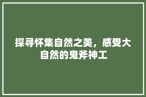 探寻怀集自然之美，感受大自然的鬼斧神工