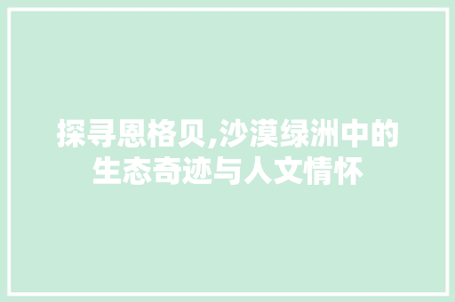 探寻恩格贝,沙漠绿洲中的生态奇迹与人文情怀