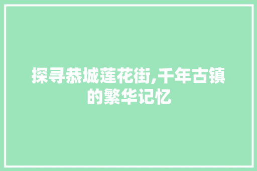 探寻恭城莲花街,千年古镇的繁华记忆