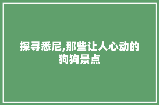 探寻悉尼,那些让人心动的狗狗景点