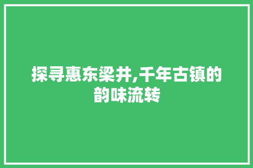 探寻惠东梁井,千年古镇的韵味流转