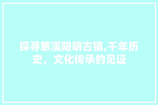 探寻慈溪阳明古镇,千年历史，文化传承的见证