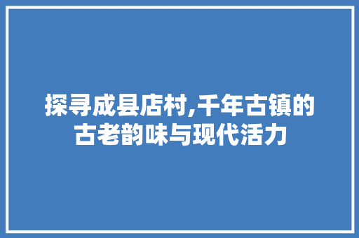 探寻成县店村,千年古镇的古老韵味与现代活力