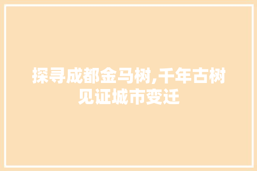 探寻成都金马树,千年古树见证城市变迁