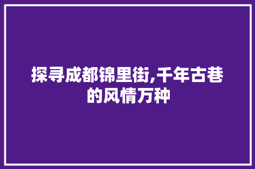 探寻成都锦里街,千年古巷的风情万种