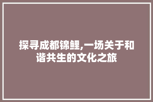 探寻成都锦鲤,一场关于和谐共生的文化之旅