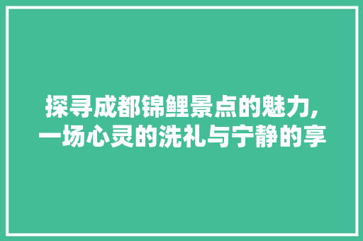 探寻成都锦鲤景点的魅力,一场心灵的洗礼与宁静的享受