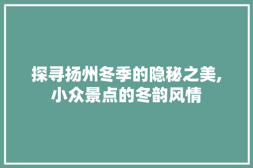 探寻扬州冬季的隐秘之美,小众景点的冬韵风情