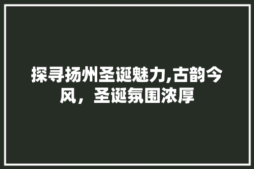 探寻扬州圣诞魅力,古韵今风，圣诞氛围浓厚