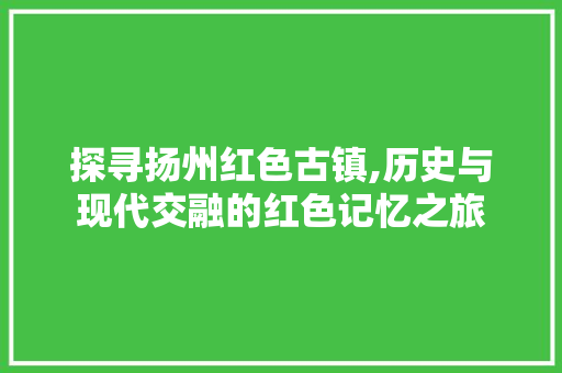 探寻扬州红色古镇,历史与现代交融的红色记忆之旅