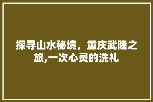 探寻山水秘境，重庆武隆之旅,一次心灵的洗礼