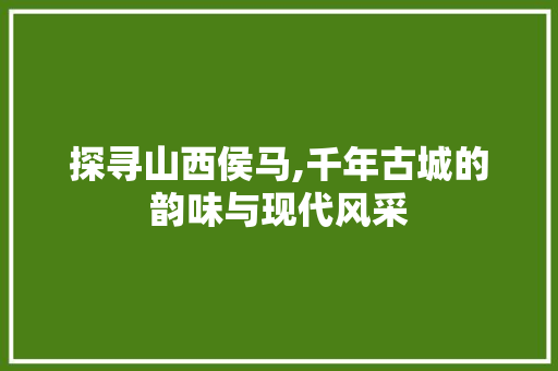 探寻山西侯马,千年古城的韵味与现代风采