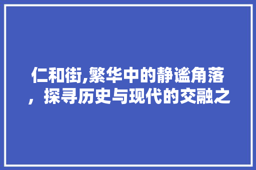 仁和街,繁华中的静谧角落，探寻历史与现代的交融之美