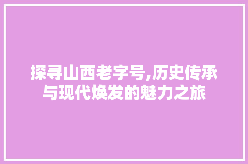 探寻山西老字号,历史传承与现代焕发的魅力之旅